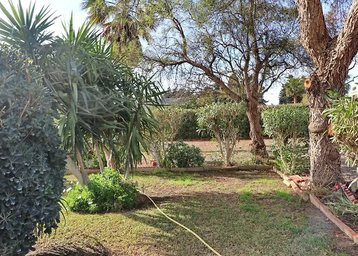 Agua 科尼尔-德拉弗龙特拉